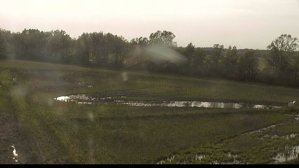 capture-4-22-05-19_18-48-55-75