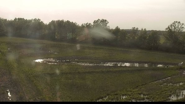 capture-4-22-05-19_18-50-47-06