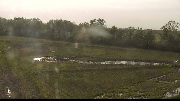 capture-4-22-05-19_18-51-40-79