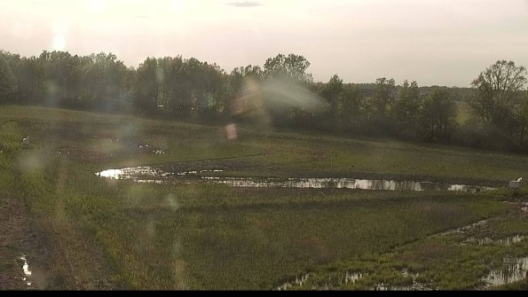 capture-4-22-05-19_18-57-10-35