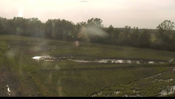 capture-4-22-05-19_18-58-06-31