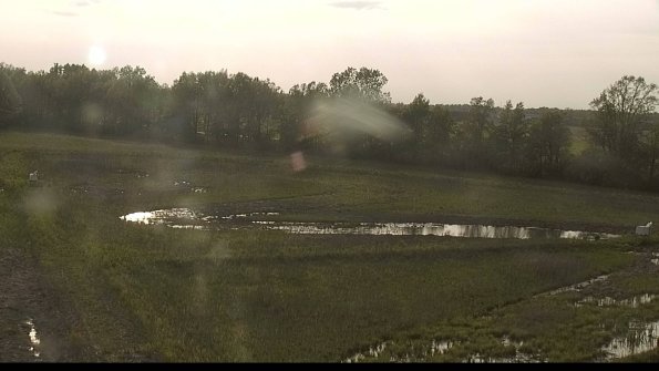 capture-4-22-05-19_19-02-41-01