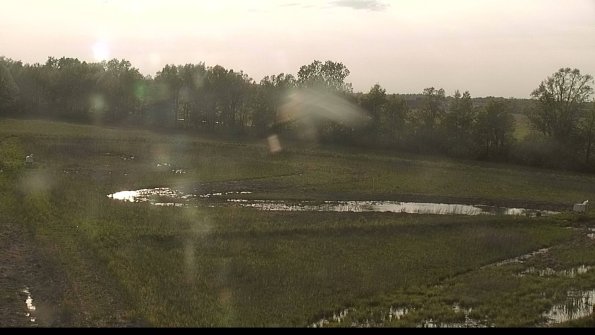 capture-4-22-05-19_19-06-21-34