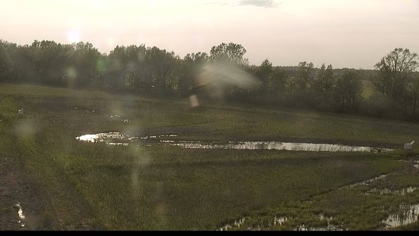 capture-4-22-05-19_19-07-15-72