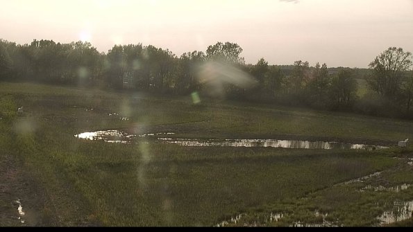 capture-4-22-05-19_19-11-50-47