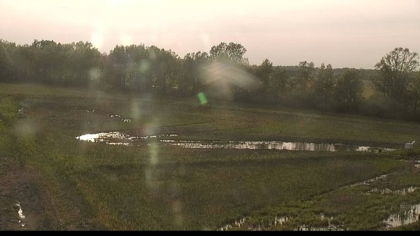 capture-4-22-05-19_19-15-30-92