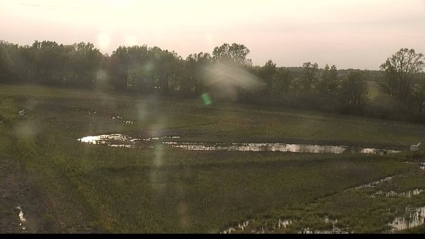 capture-4-22-05-19_19-17-21-00