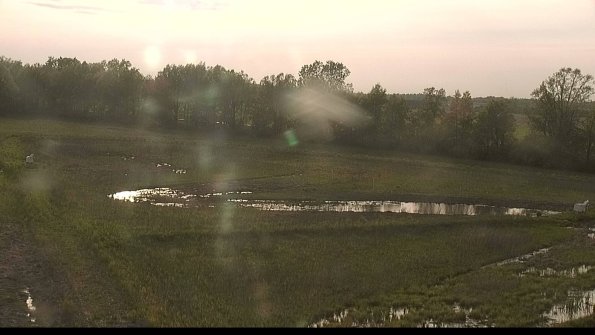 capture-4-22-05-19_19-19-11-04