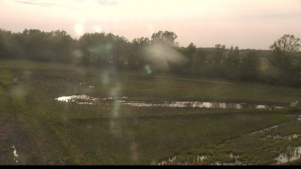 capture-4-22-05-19_19-20-06-03