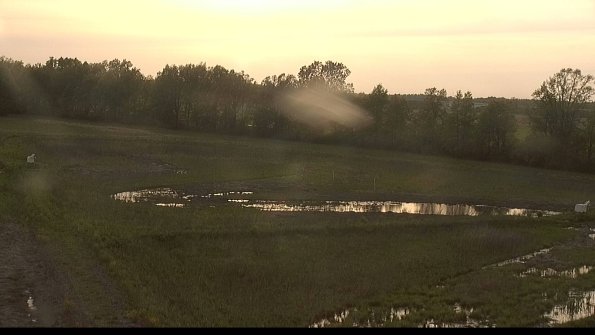 capture-4-22-05-19_19-43-36-31