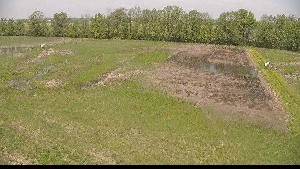 capture-6-22-05-19_12-41-09-33