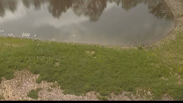 capture-8-22-05-19_10-35-16-31