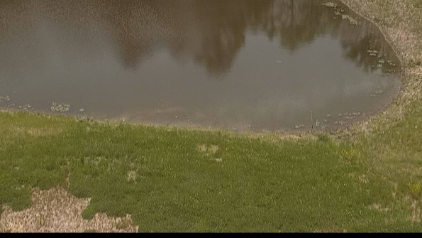 capture-8-22-05-19_11-37-37-40