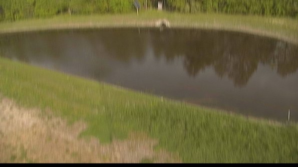 capture-8-22-05-19_18-28-54-65