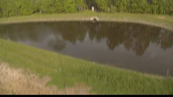 capture-8-22-05-19_18-29-49-67