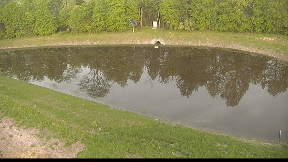 capture-8-22-05-19_19-54-25-46