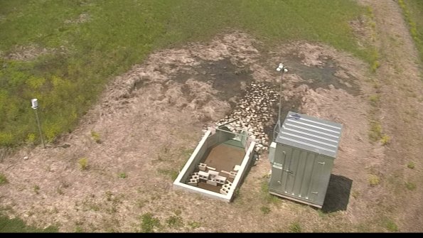 capture-9-22-05-19_12-41-52-41