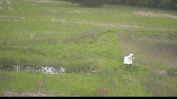 capture-12-22-05-22_07-13-41-30