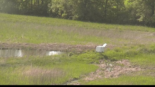 capture-13-22-05-22_16-35-41-30