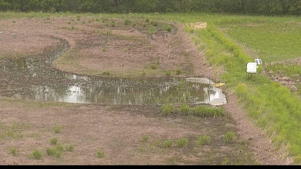 capture-14-22-05-22_10-21-48-30