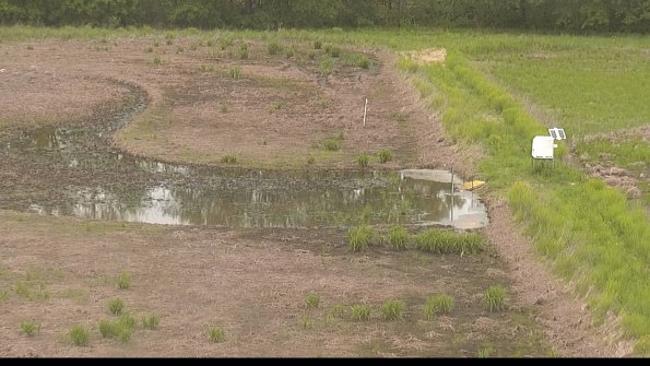 capture-14-22-05-22_13-28-58-31