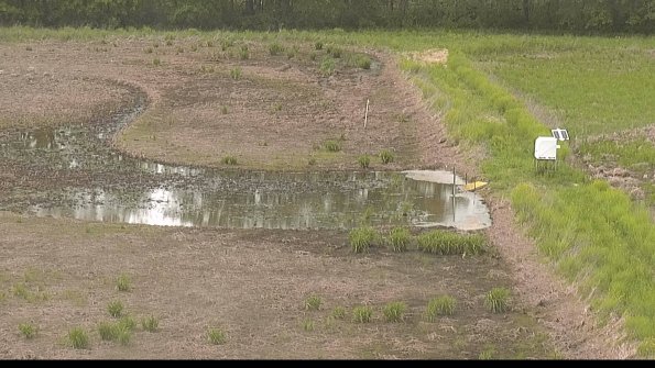 capture-14-22-05-22_15-33-46-37