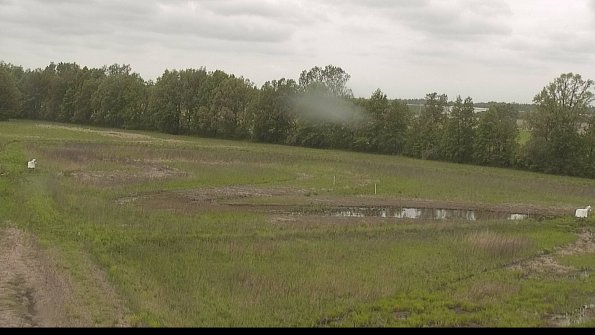 capture-4-22-05-22_10-21-07-22