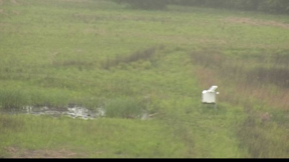 capture-12-22-05-25_12-10-50-33