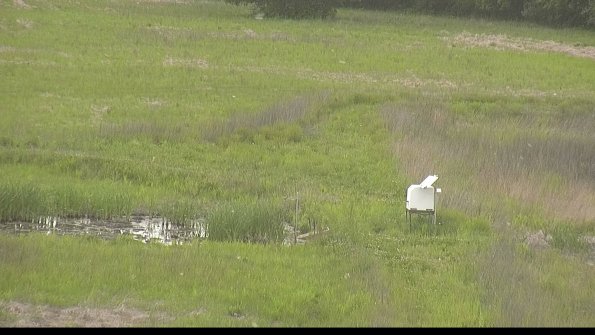 capture-12-22-05-25_17-22-49-23