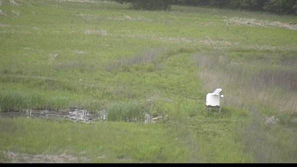 capture-12-22-05-25_20-30-01-24