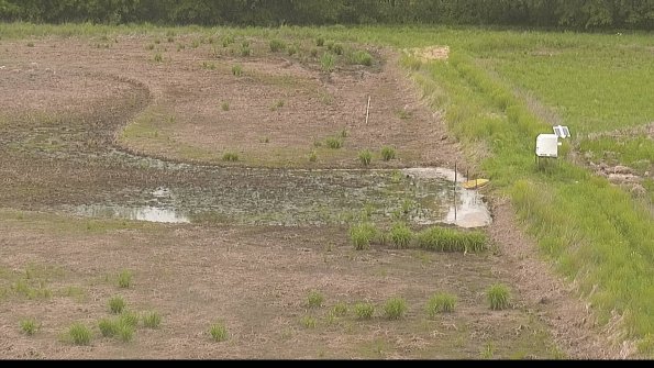 capture-14-22-05-25_10-06-59-33