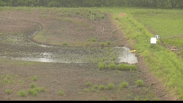 capture-14-22-05-25_12-11-47-28