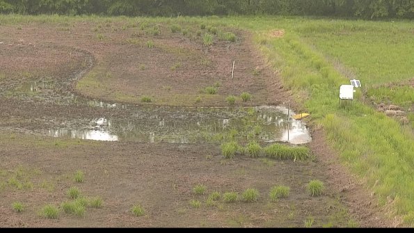 capture-14-22-05-25_13-14-11-24