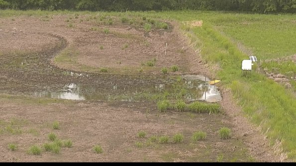 capture-14-22-05-25_14-16-34-24