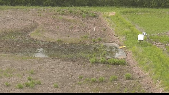 capture-14-22-05-25_17-23-45-32