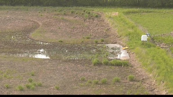 capture-14-22-05-25_18-26-09-41