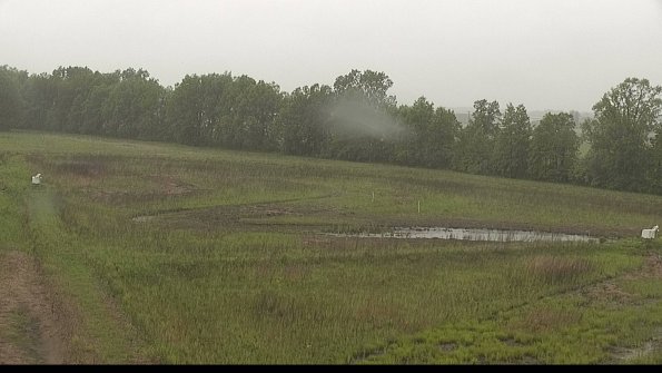 capture-4-22-05-25_12-11-05-17