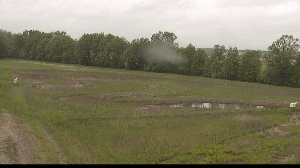 capture-4-22-05-25_14-15-50-99