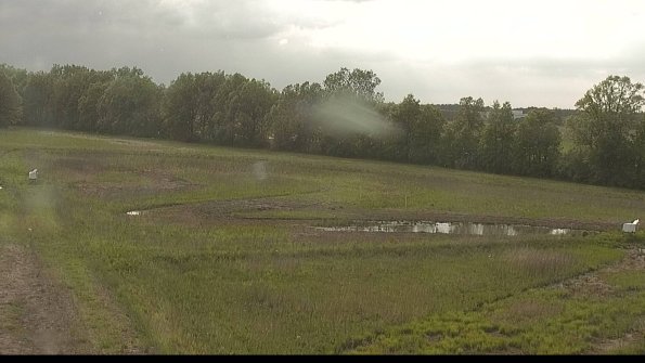 capture-4-22-05-25_18-25-26-30