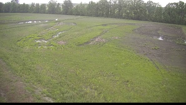 capture-1-22-05-26_06-59-59-18