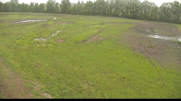 capture-1-22-05-26_14-12-17-84