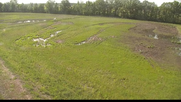 capture-1-22-05-26_17-19-28-53