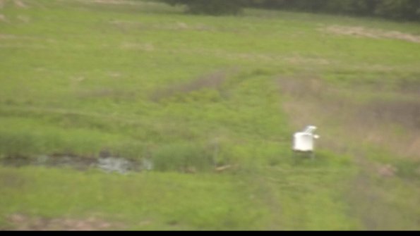 capture-12-22-05-26_07-56-22-38