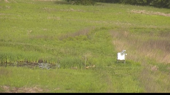 capture-12-22-05-26_08-58-45-31