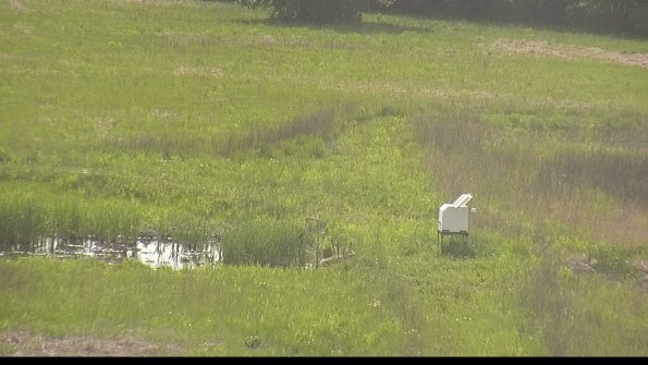 capture-12-22-05-26_17-17-49-33