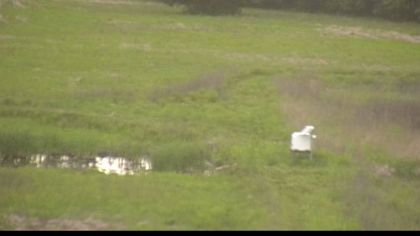 capture-12-22-05-26_19-22-38-15