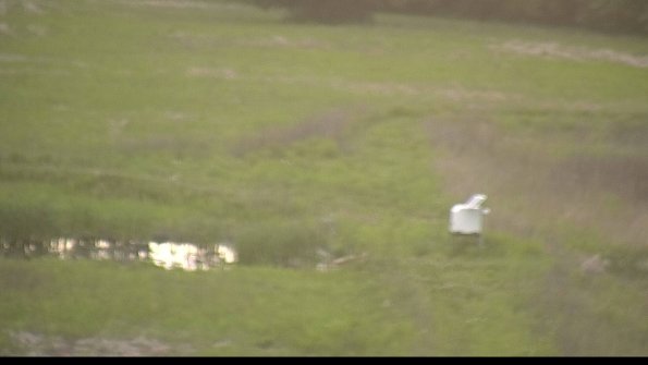 capture-12-22-05-26_20-25-02-21