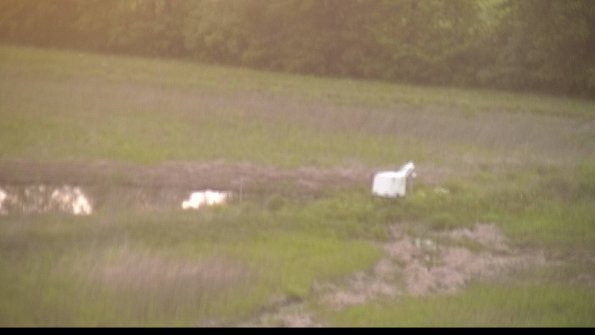 capture-13-22-05-26_20-25-29-14