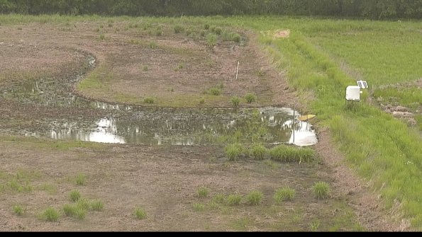 capture-14-22-05-26_12-06-51-38