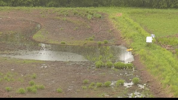 capture-14-22-05-26_15-13-58-63